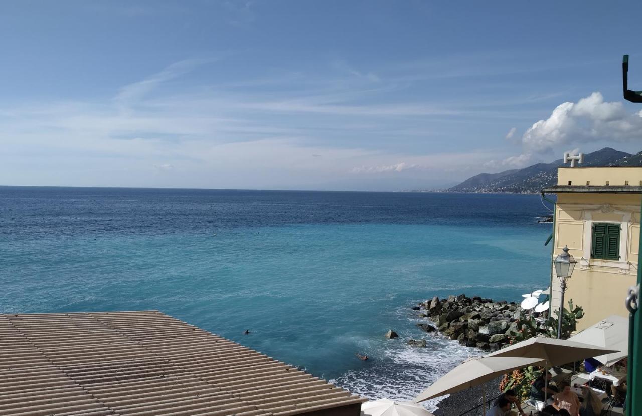 Le Finestre Sul Mare Apartment Camogli Exterior photo